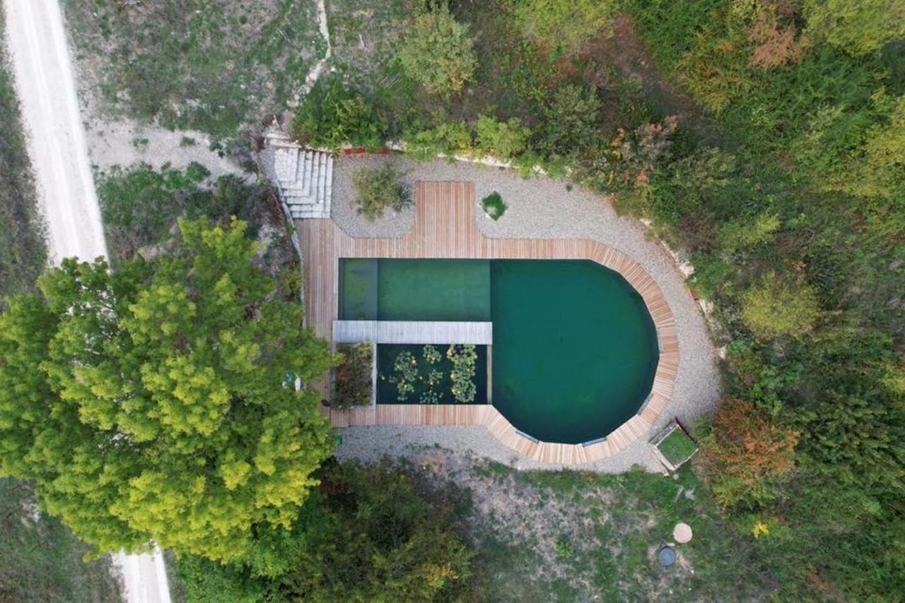 Maison Terre Les Cabanes De Fallot - Sauna Bain-Froid Piscine Naturelle L'isle-Bouzon Exterior foto